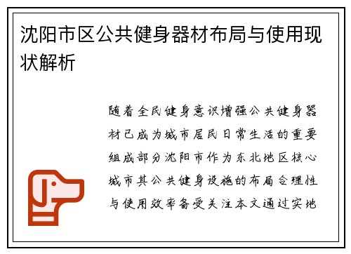 沈阳市区公共健身器材布局与使用现状解析
